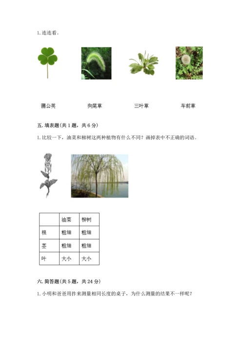 教科版一年级上册科学期末测试卷及参考答案（考试直接用）.docx