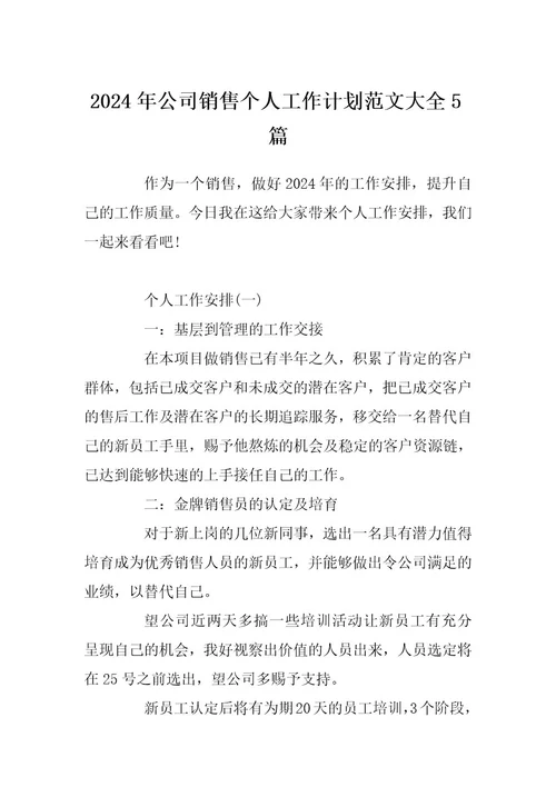 2024年公司销售个人工作计划范文大全5篇