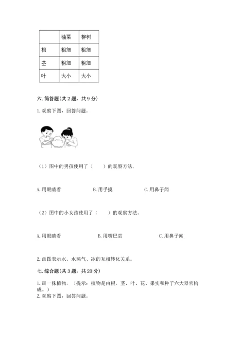 教科版科学一年级上册第一单元《植物》测试卷附参考答案（模拟题）.docx