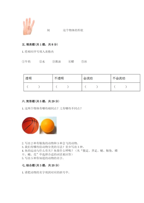 教科版一年级下册科学期末测试卷加答案.docx
