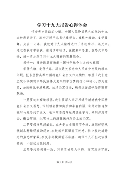 学习十九大报告心得体会 (22).docx