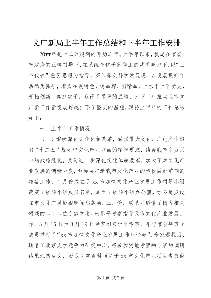 文广新局上半年工作总结和下半年工作安排.docx