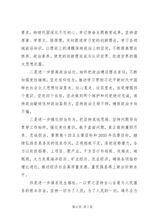 县政府党组XX年民主生活会讲话稿.docx