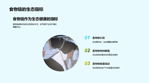 深度解析食物链