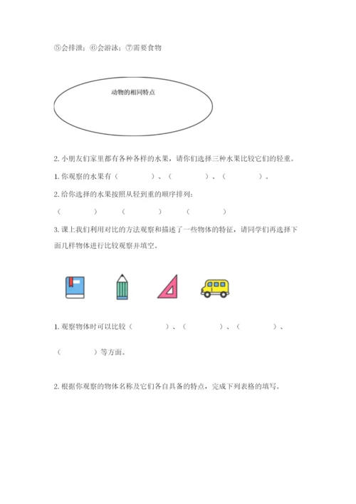 教科版小学科学一年级下册期末测试卷附答案.docx