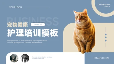 蓝金欧美风物健康护理培训模板PPT模板