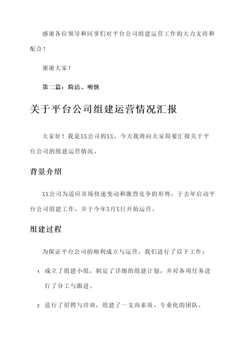 关于平台公司组建运营情况汇报