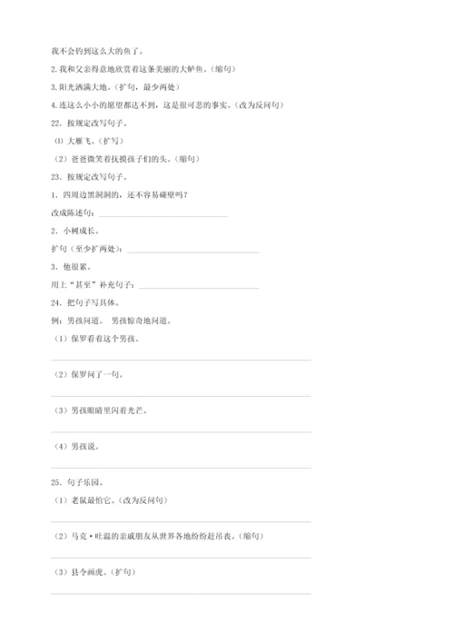 2023年小升初语文知识专项训练基础知识二扩句缩句.docx