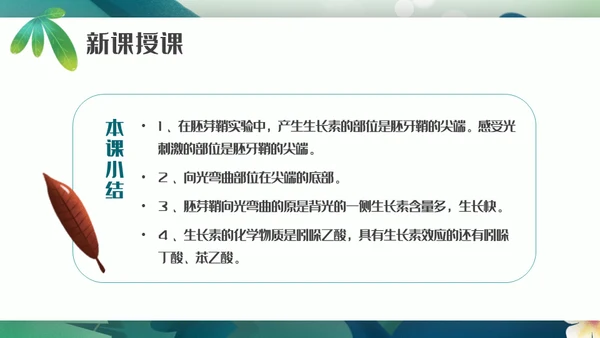 植物生长素的发现生物课件通用PPT模板