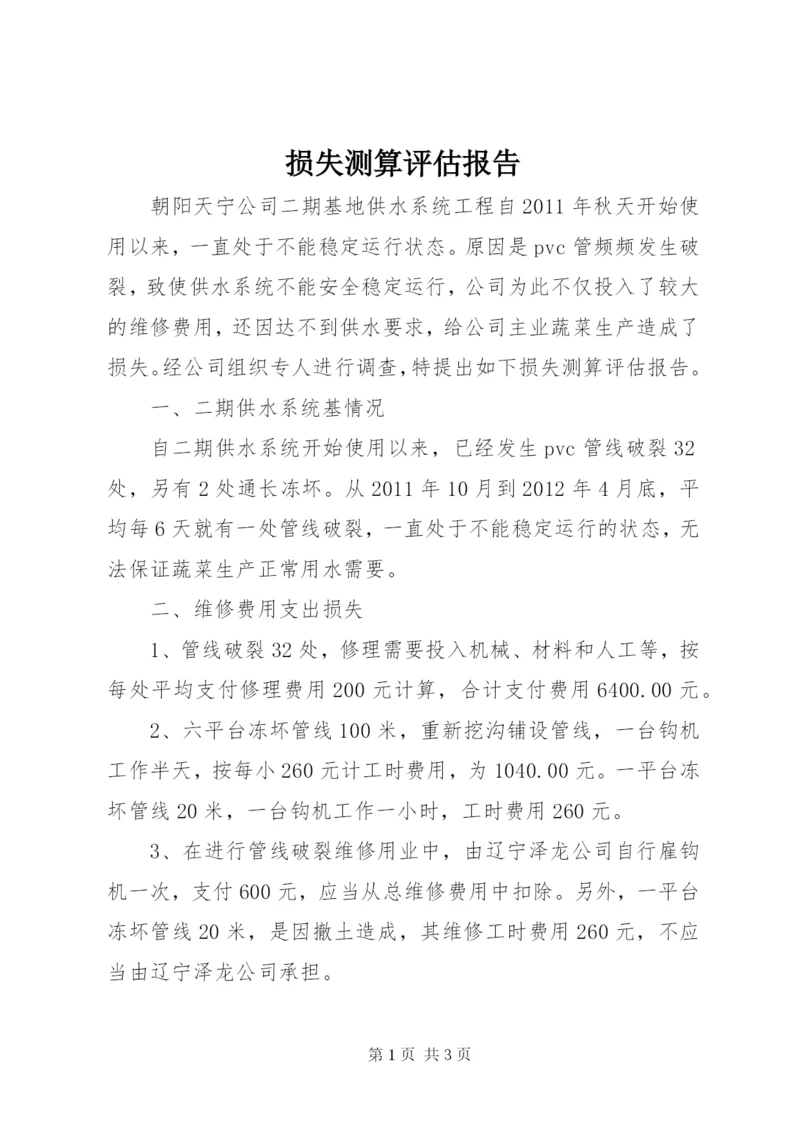 损失测算评估报告.docx