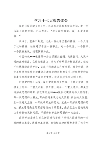 学习十七大报告体会.docx