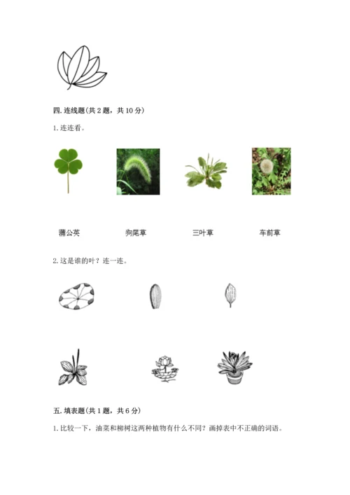 教科版科学一年级上册第一单元《植物》测试卷附答案（培优b卷）.docx