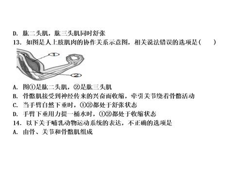 【精选】第一节动物的运动复习题