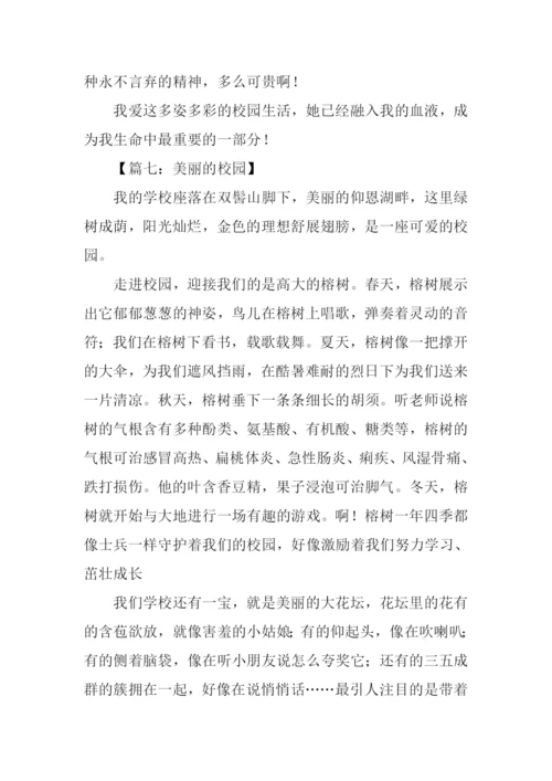 关于校园的作文800字.docx