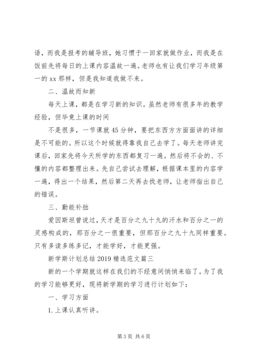 新学斯计划总结20XX年精选范文.docx