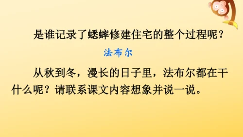 11 蟋蟀的住宅  课件