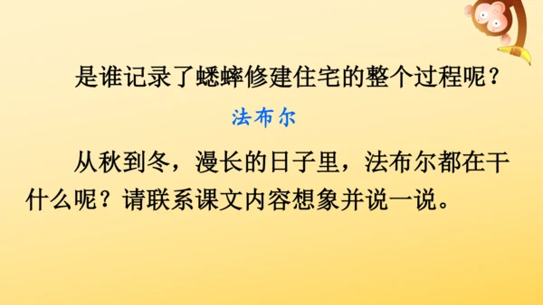 11 蟋蟀的住宅  课件