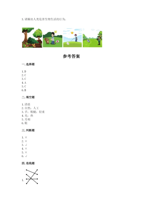 教科版小学二年级上册科学期末测试卷精品【巩固】.docx