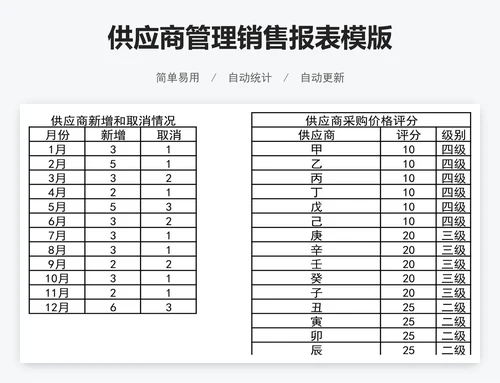 供应商管理销售报表模版