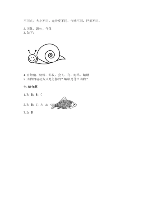 教科版一年级下册科学期末测试卷（考点提分）.docx