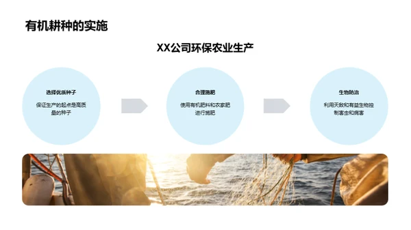 绿色之路：XX农业的环保探索