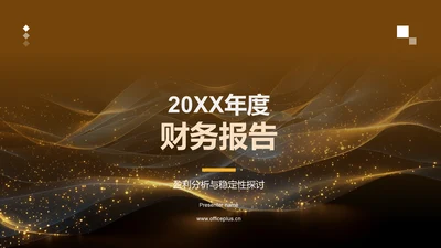 20XX年度财务报告