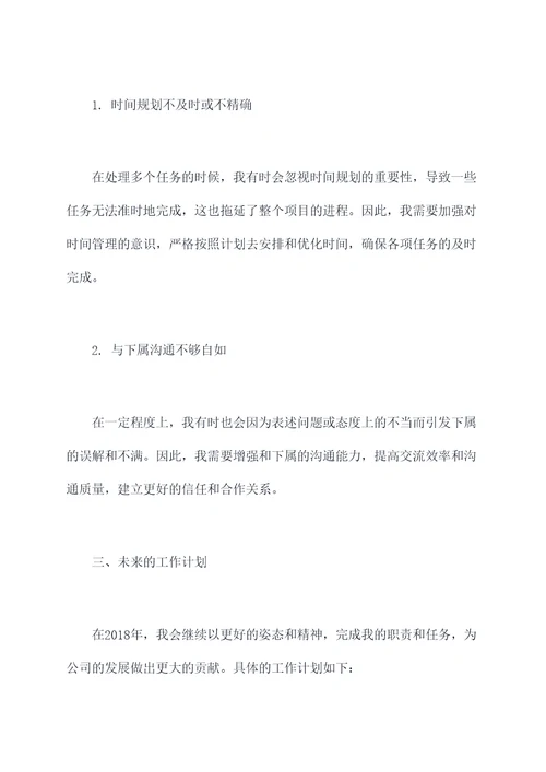 2017副职年度述职报告