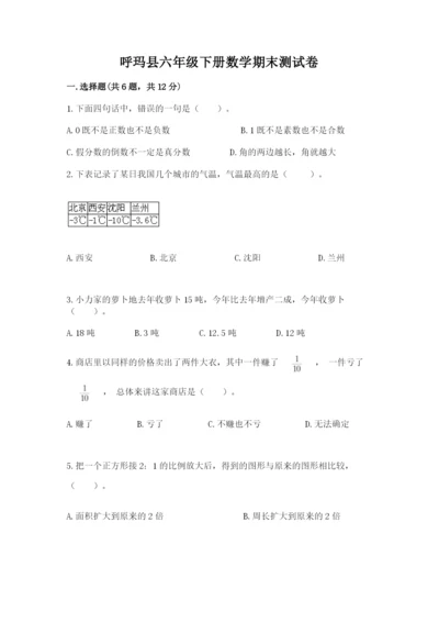 呼玛县六年级下册数学期末测试卷审定版.docx