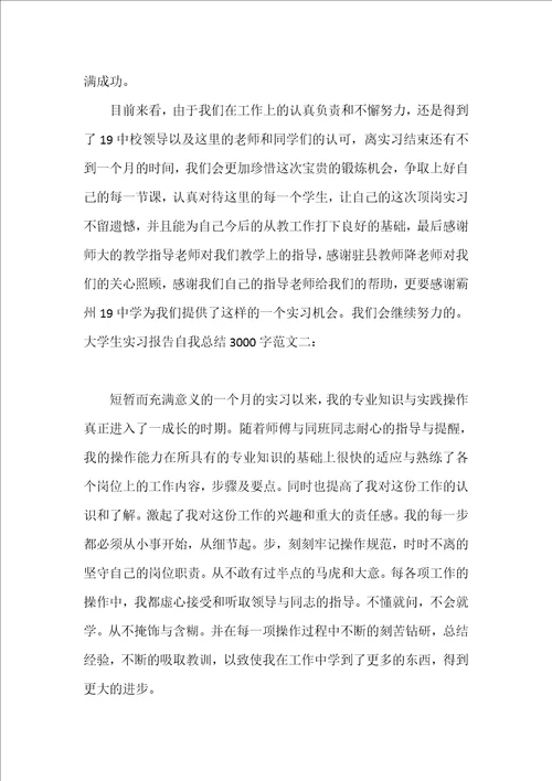 大学生实习报告自我总结3000字