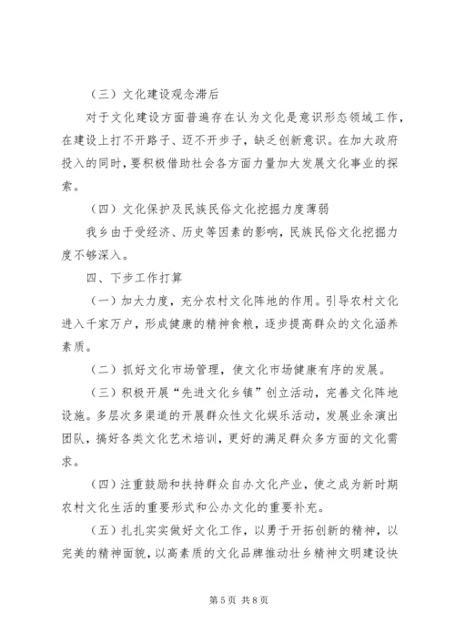 乡镇文化建设工作汇报材料.docx