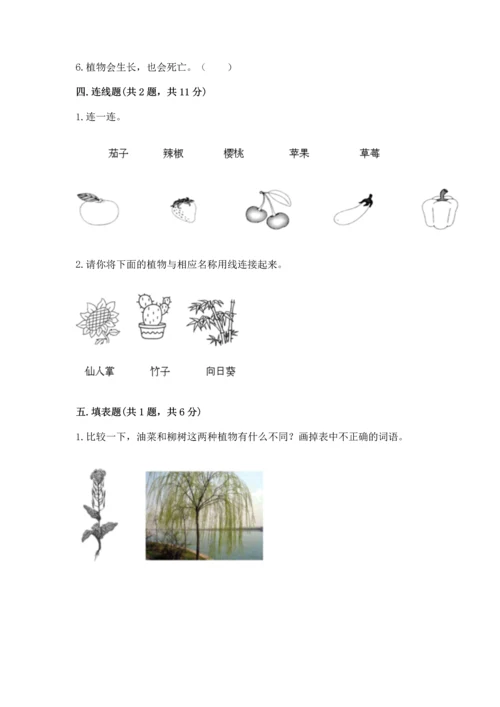 教科版科学一年级上册第一单元《植物》测试卷含完整答案【夺冠】.docx