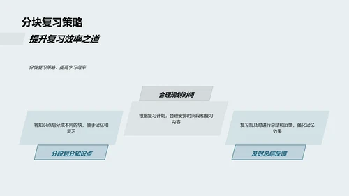 高考地理应对策略PPT模板