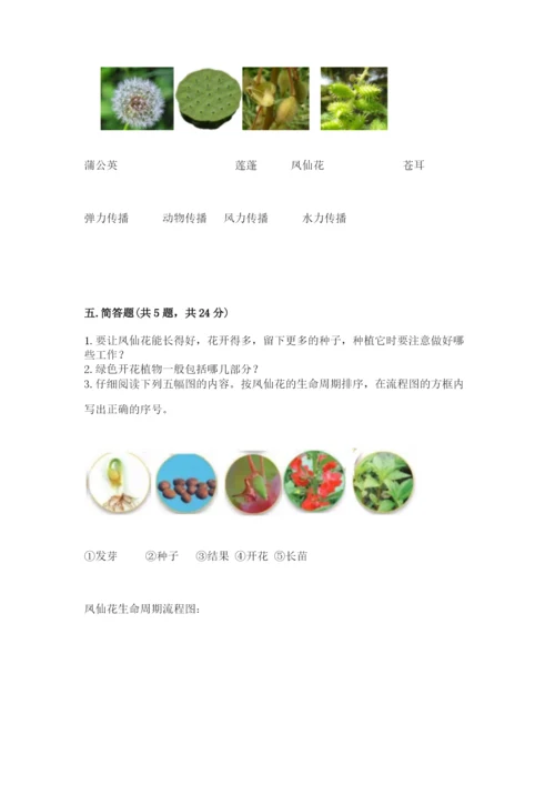 教科版科学四年级下册第一单元《植物的生长变化》测试卷精品（达标题）.docx