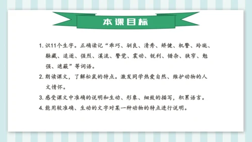 统编版五年级语文上册第17课《松鼠》教学课件