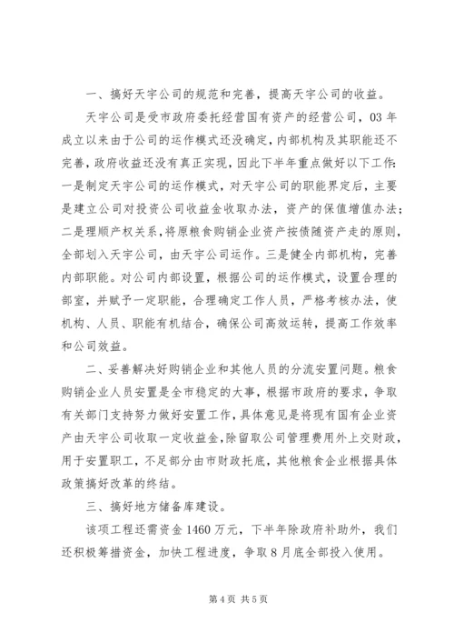 市粮食局安全上半年总结及下半年计划.docx