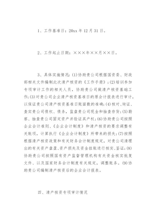 清产核资专项审计报告.docx