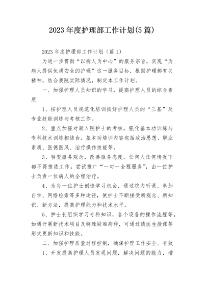 2023年度护理部工作计划(5篇).docx