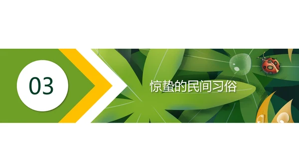 七星瓢虫惊蛰PPT模板
