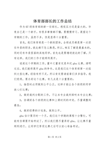 体育部部长的工作总结.docx