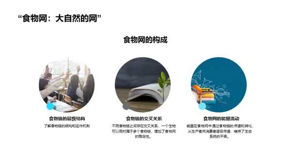 生态环境：平衡与保护