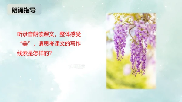 第18课 紫藤萝瀑布 课件(共27张PPT)