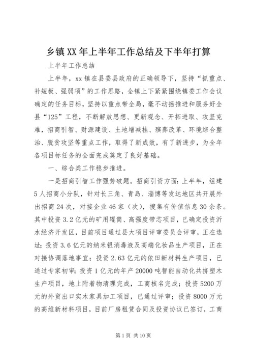 乡镇某年上半年工作总结及下半年打算.docx