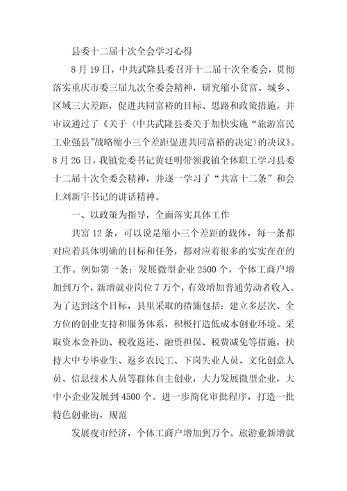 县委十二届四次全委报告精神心得