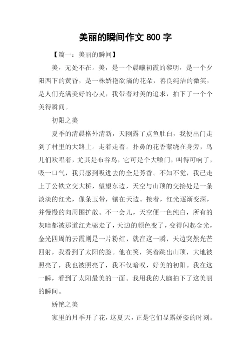美丽的瞬间作文800字.docx