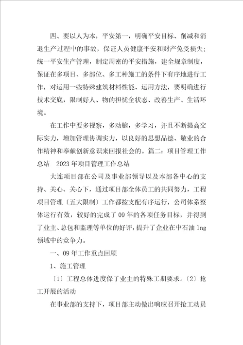 2023年项目管理专业技术工作总结