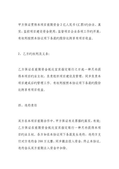 项目合作股份公司协议范本.docx