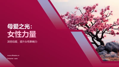 母爱之光：女性力量