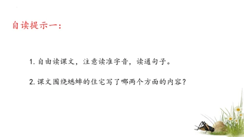 11 蟋蟀的住宅（课件）
