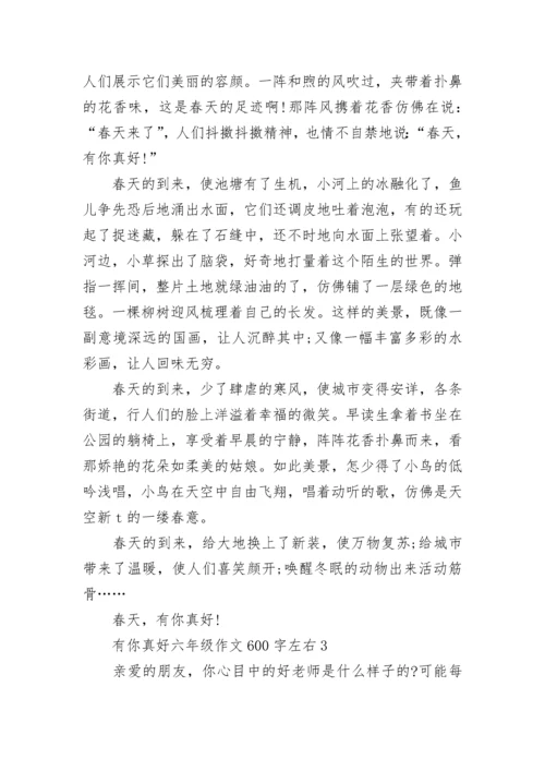 有你真好六年级作文600字左右范文5篇.docx