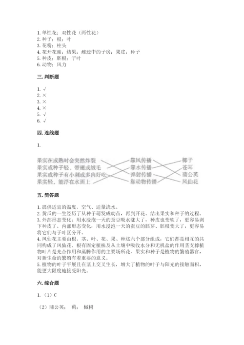 教科版科学四年级下册第一单元《植物的生长变化》测试卷（黄金题型）.docx